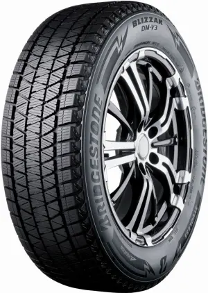 BRIDGESTONE DM-V3 25555 R20C R20 110T