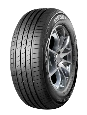 LANDSPIDER EUROTRAXX HP 20555 R16 91V